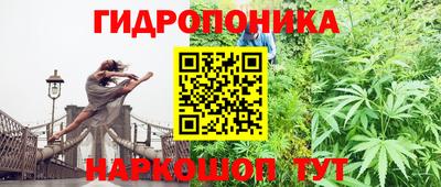сатива Балаково