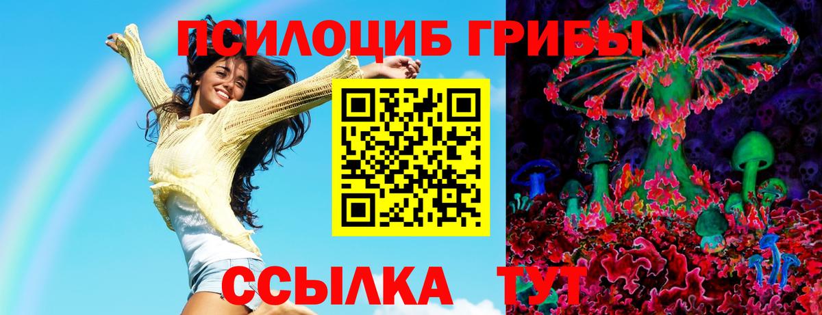 Псилоцибиновые грибы Magic Shrooms Губаха