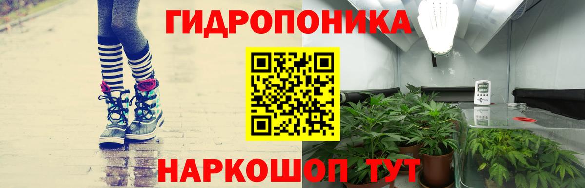 Марихуана LSD WEED Губаха